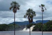 Venezuela: The Lost World